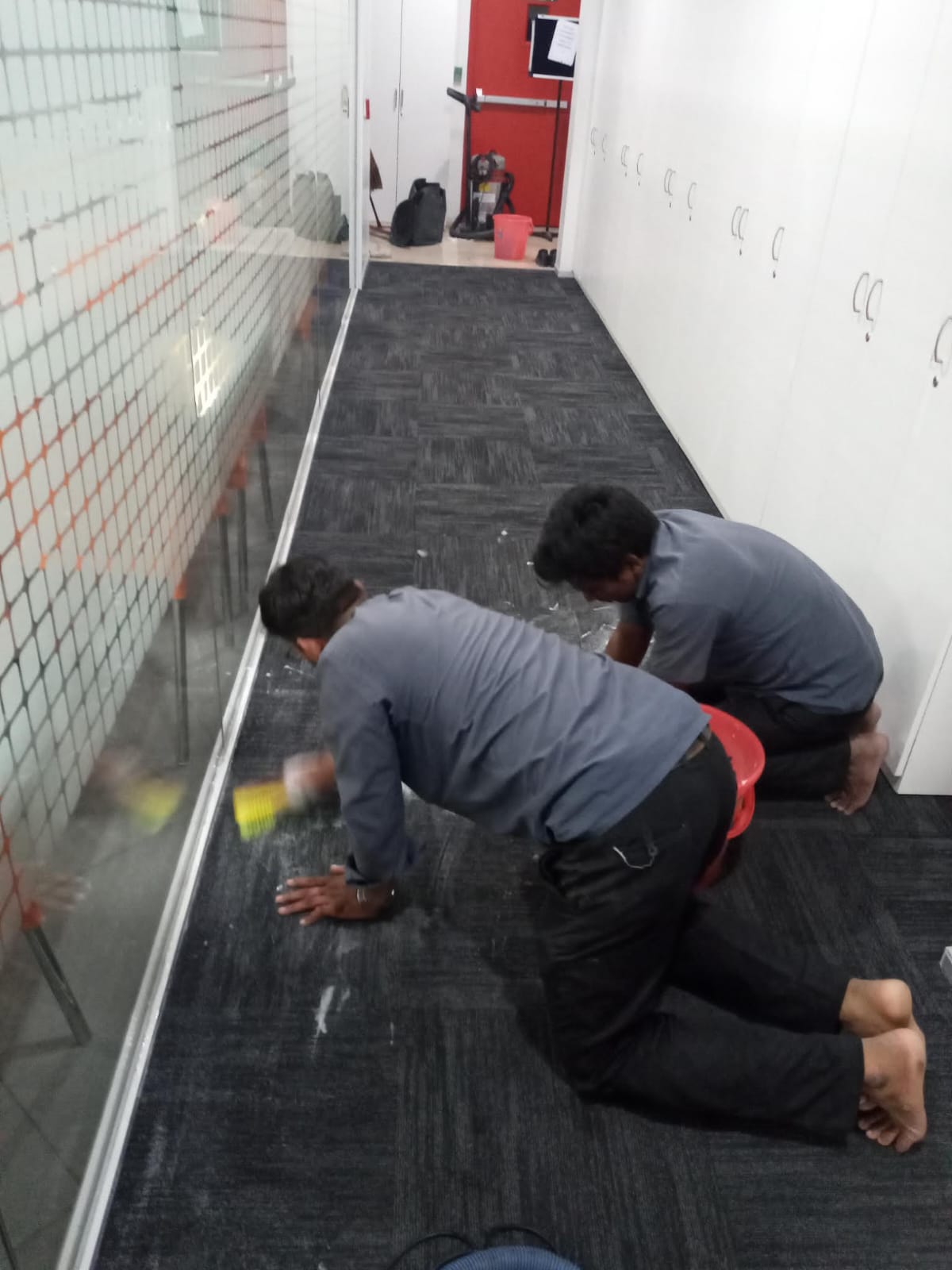 Office Carpet Vacuuming & Sanitizing